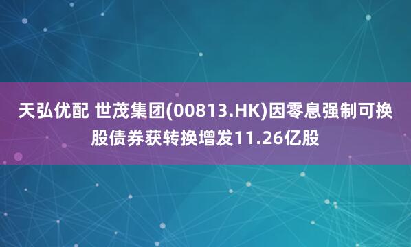 天弘优配 世茂集团(00813.HK)因零息强制可换股债券获转换增发11.26亿股