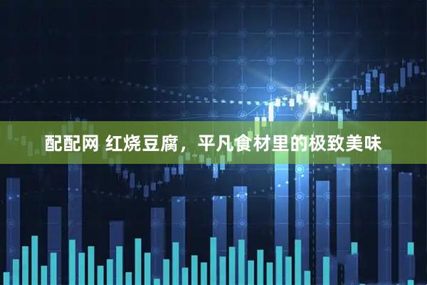 配配网 红烧豆腐，平凡食材里的极致美味